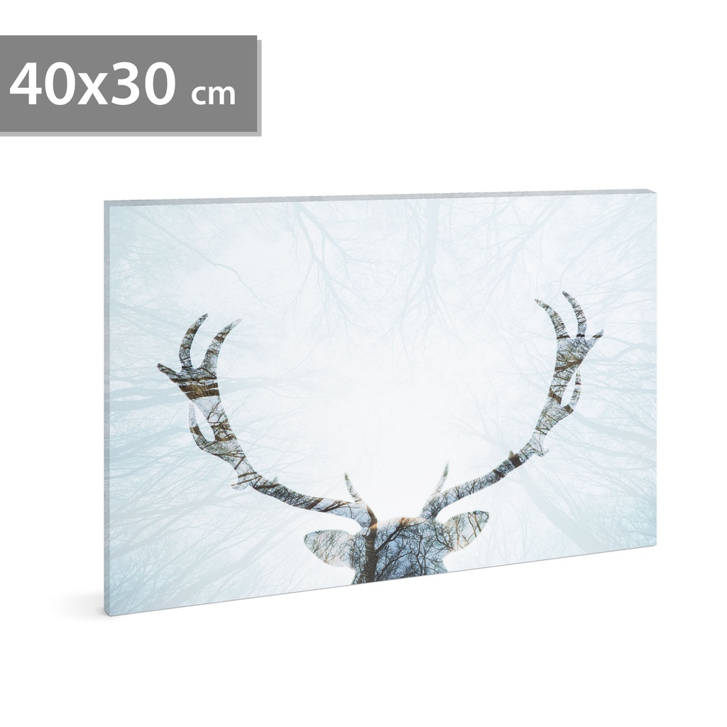 [58481A] Tablou decorativ LED, cu ren, 40x30cm