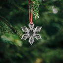 Ornament, cristale acrilice de gheata, set 6 buc.