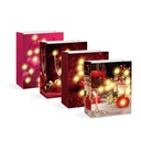 Punga cadou, 10 LED, 265x127x330mm, 4 modele