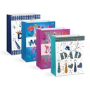 Punga cadou, hartie, 265x127x330mm, 4 modele