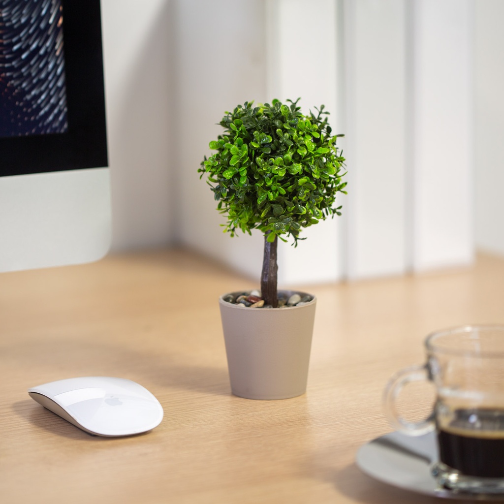Decor plante artificiale, in ghiveci, 8x18cm