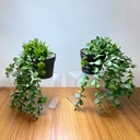 Decor plante artificiale, in ghiveci, 16x26cm