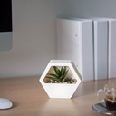 Decor plante artificiale, perete, 13x12cm