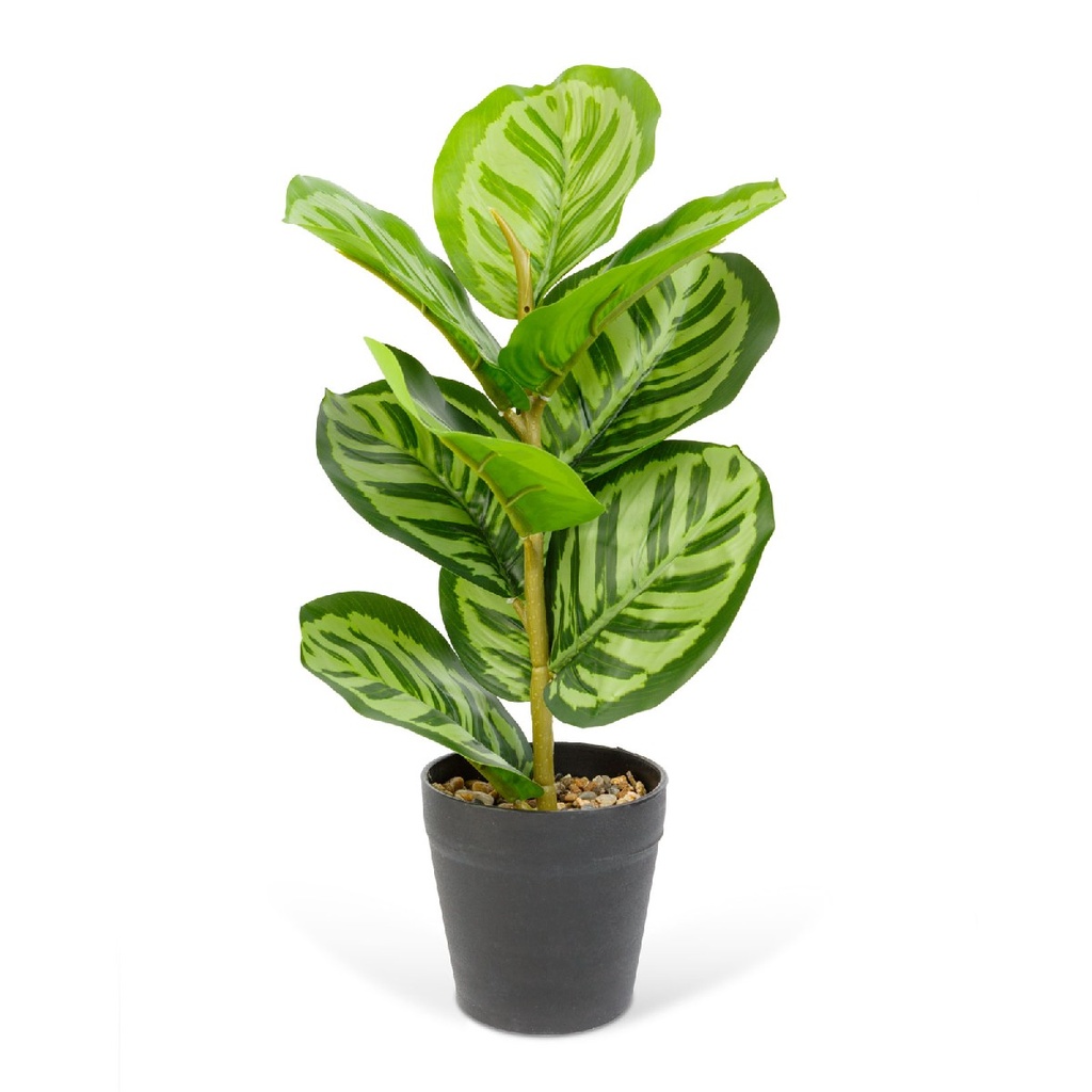 [11896D] Planta artificiala zebra verde-verde, 34x9cm