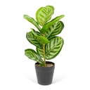 Planta artificiala zebra verde-verde, 34x9cm