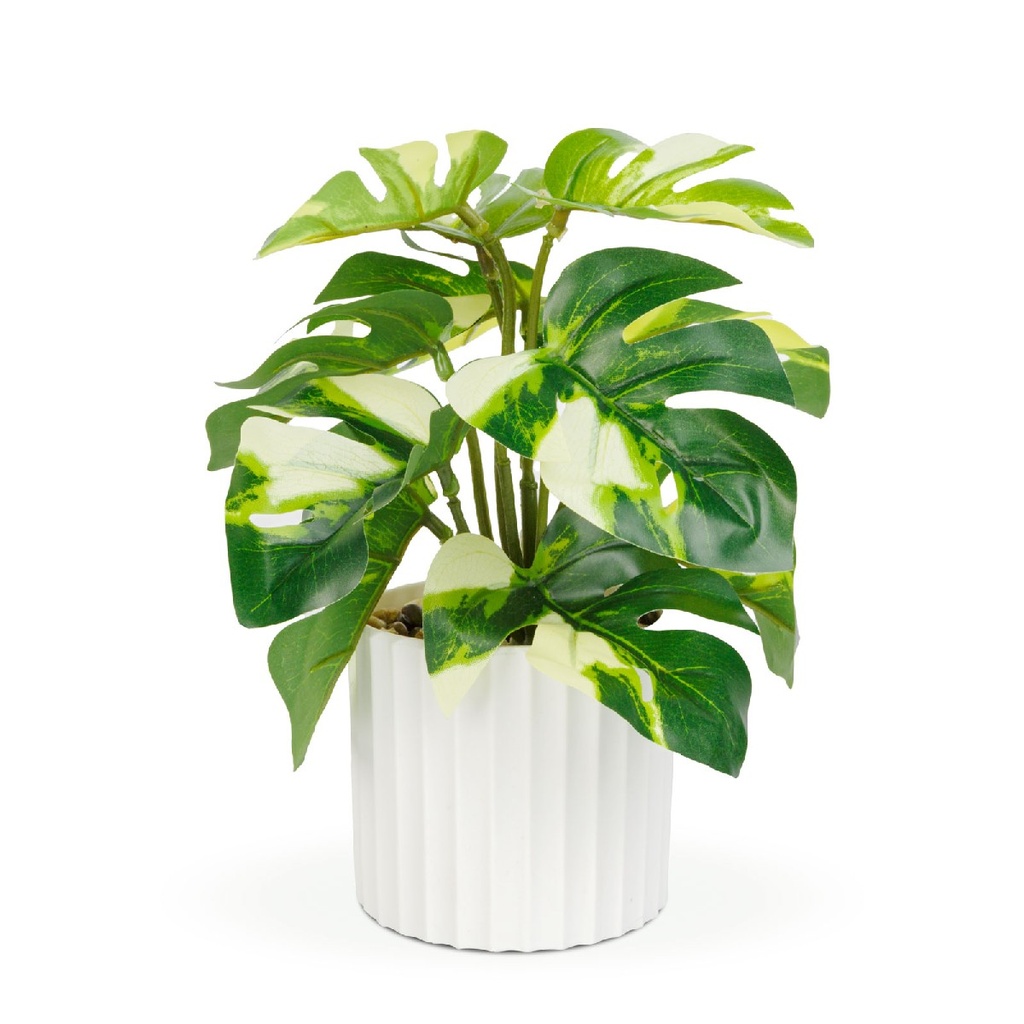 [11892B] Filodendron verde-galben artificial, 20x8cm