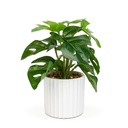 Filodendron verde artificial, decor, 20x8cm