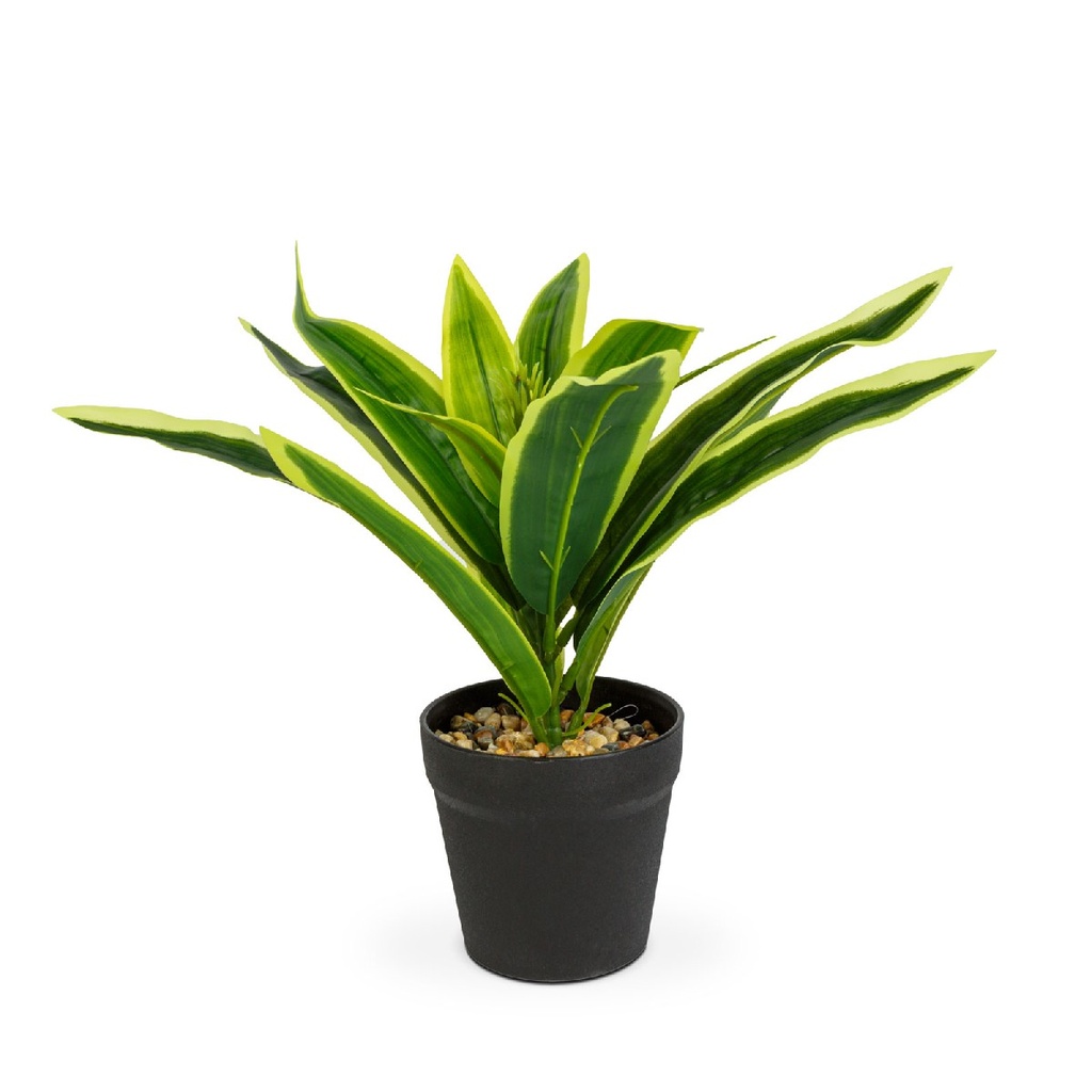 [11891B] Copac sofran cu dungi artificial, decor, 20x8.5cm