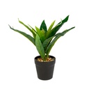 Copac de sofran verde artificial, decor, 20x8.5cm