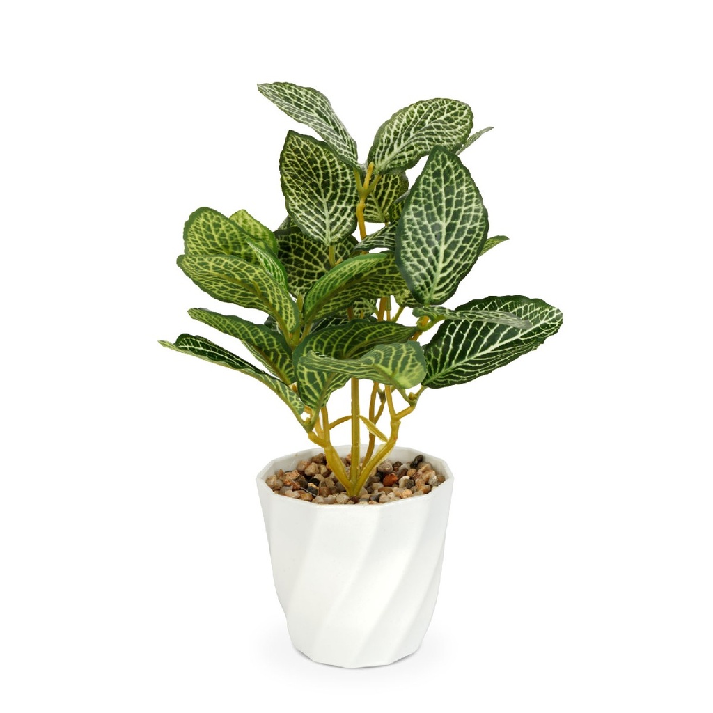 Planta artificiala decorativa - Fittonia - 20 x 9 cm