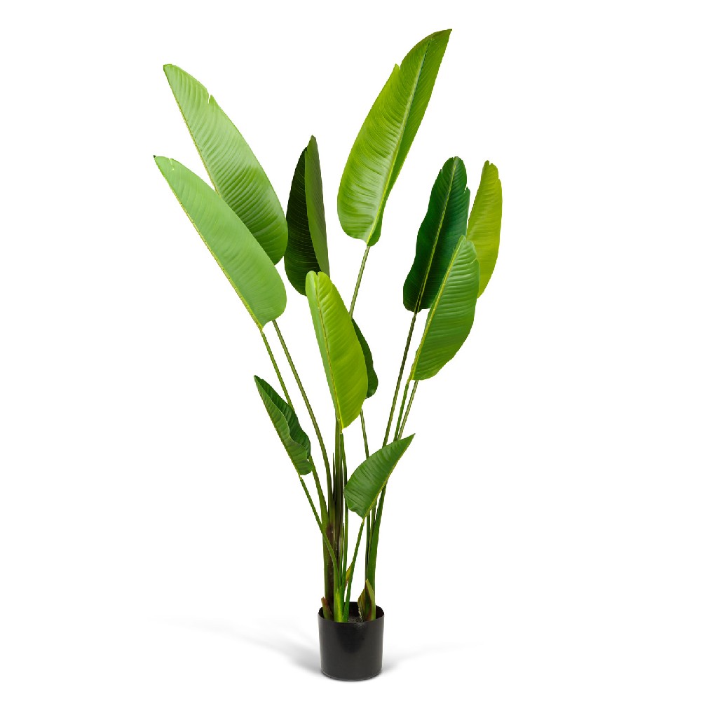[11905C] Planta artificiala decor, bananier verde, 1.9m