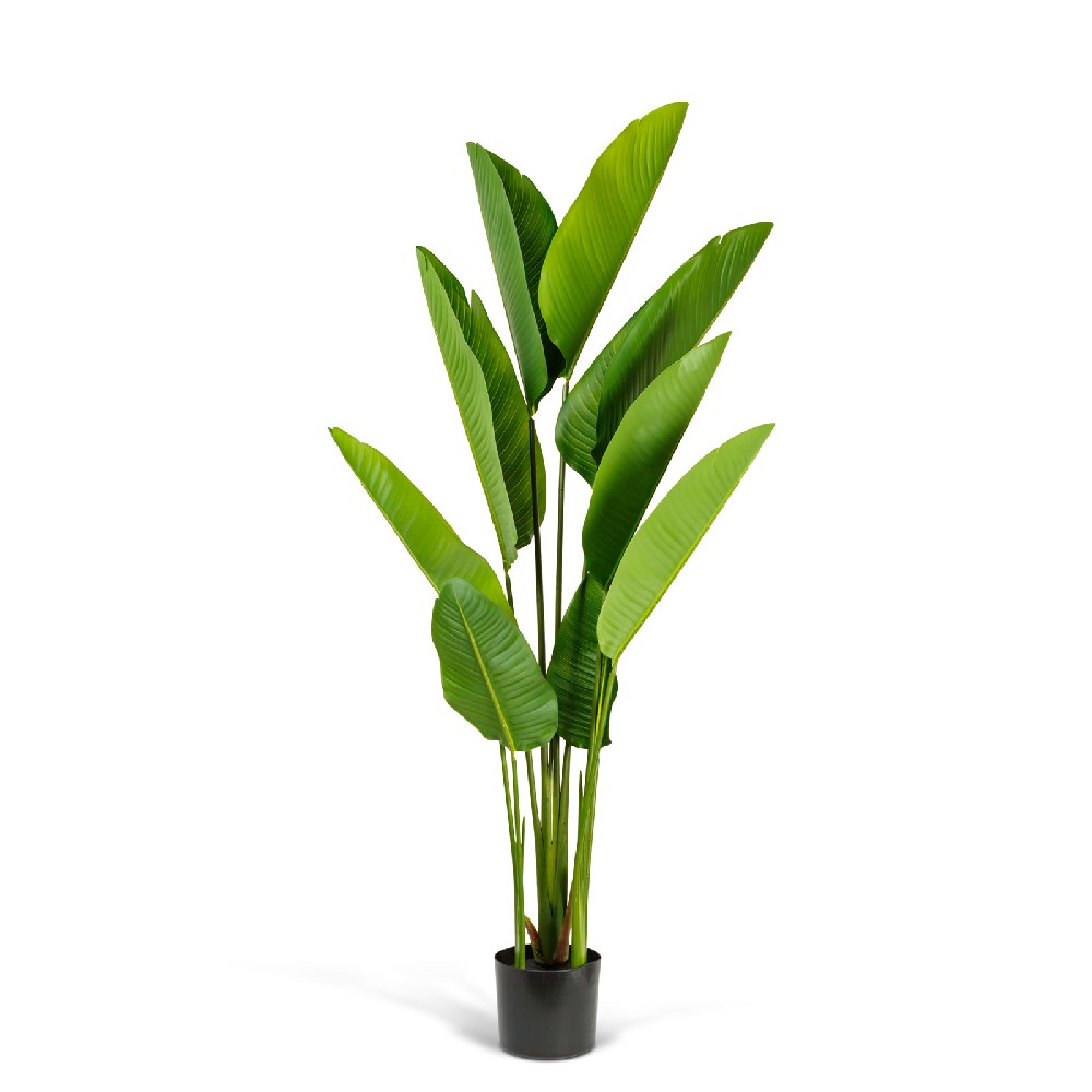 [11905B] Planta artificiala decor, bananier verde, 1.6m