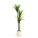 Planta artificiala Dracaena marginata verde, 1.2m