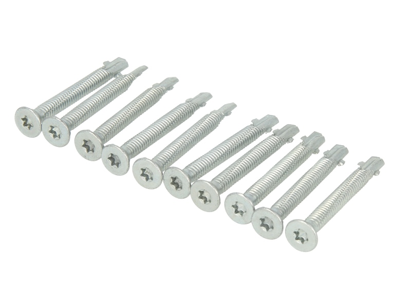 Surub placa universal 6.3x60 mm, Set 10 buc.
