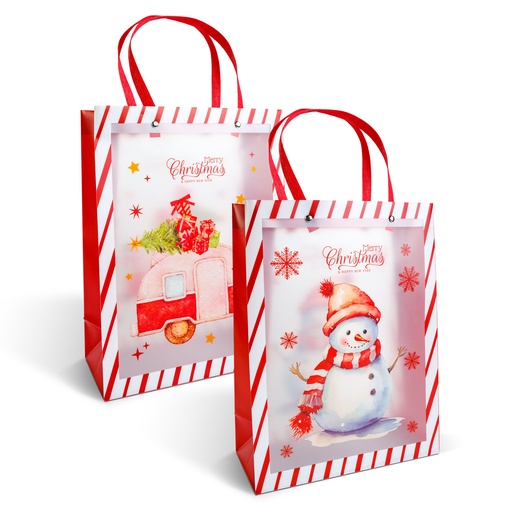 [59726] Punga decorativa pentru cadouri – 32 x 25 x 11 cm – 2 modele – material plastic