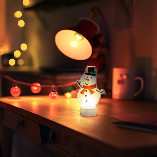 [58976B] Decor LED, alb cald, om de zapada